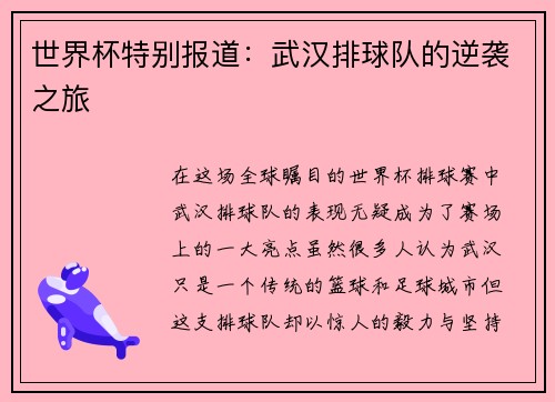 世界杯特别报道:武汉排球队的逆袭之旅