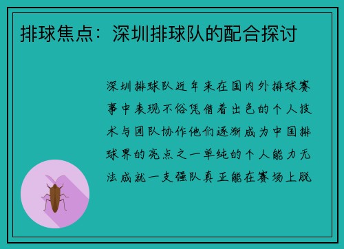 排球焦点：深圳排球队的配合探讨