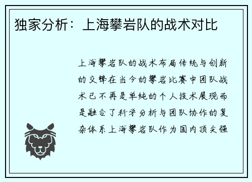 独家分析：上海攀岩队的战术对比